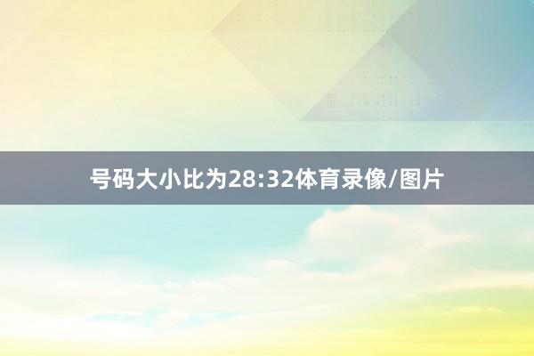 号码大小比为28:32体育录像/图片