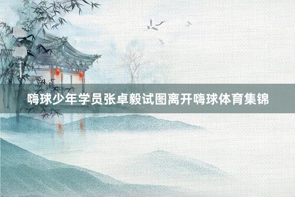 嗨球少年学员张卓毅试图离开嗨球体育集锦
