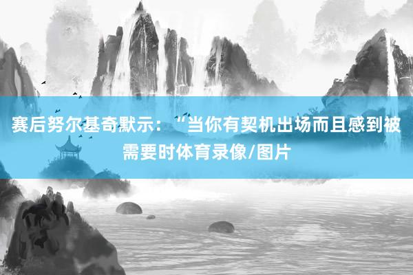 赛后努尔基奇默示：“当你有契机出场而且感到被需要时体育录像/图片