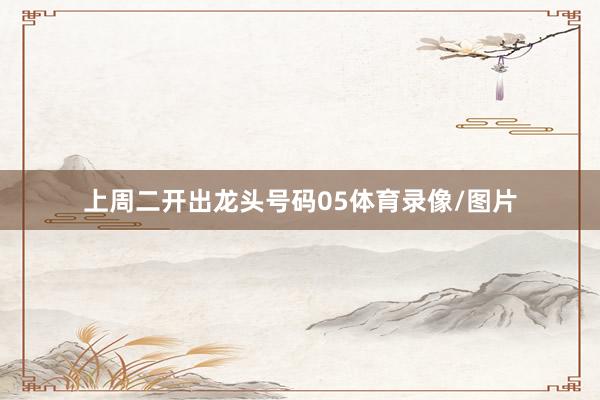 上周二开出龙头号码05体育录像/图片