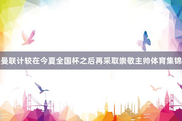 曼联计较在今夏全国杯之后再采取崇敬主帅体育集锦