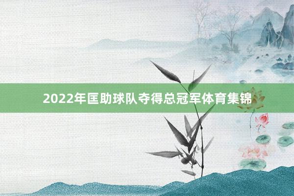 2022年匡助球队夺得总冠军体育集锦
