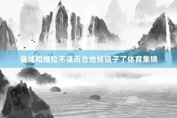 曼城和维拉不谋而合地掉链子了体育集锦
