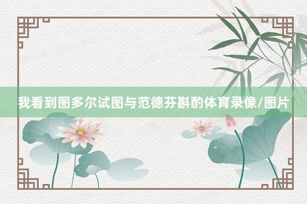 我看到图多尔试图与范德芬斟酌体育录像/图片