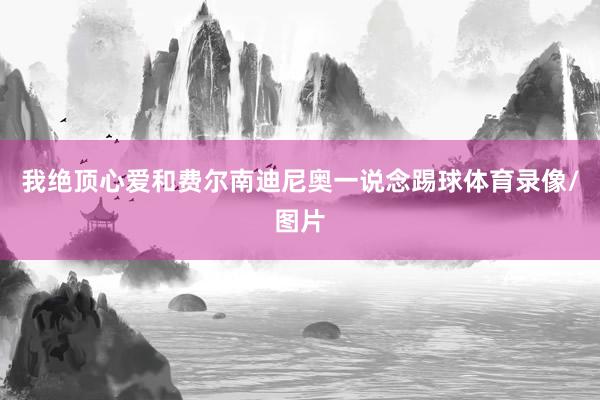 我绝顶心爱和费尔南迪尼奥一说念踢球体育录像/图片
