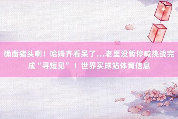 确凿猪头啊！哈姆齐看呆了…老里没暂停喊挑战完成“寻短见” ！世界买球站体育信息