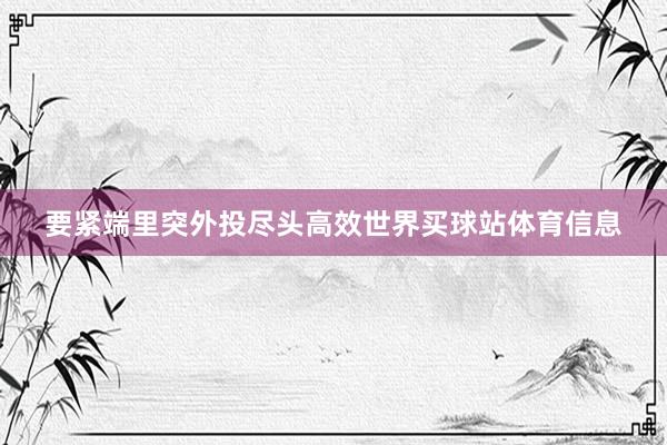 要紧端里突外投尽头高效世界买球站体育信息