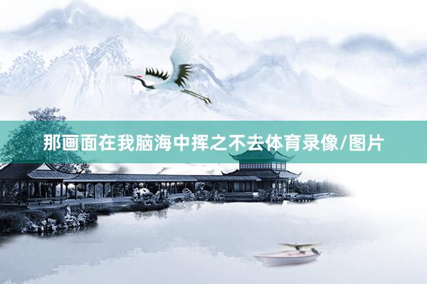 那画面在我脑海中挥之不去体育录像/图片