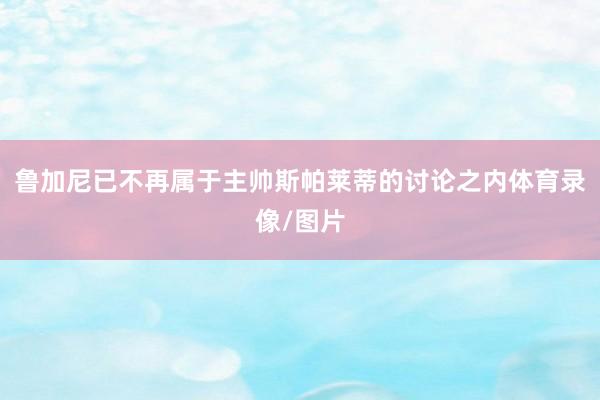 鲁加尼已不再属于主帅斯帕莱蒂的讨论之内体育录像/图片