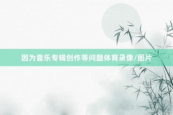 因为音乐专辑创作等问题体育录像/图片