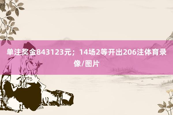 单注奖金843123元;14场2等开出206注体育录像/图片