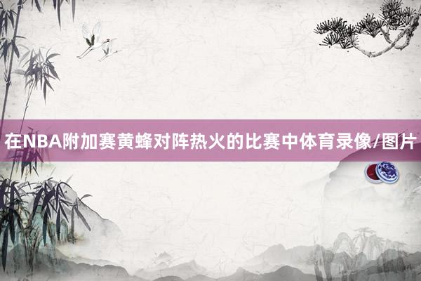 在NBA附加赛黄蜂对阵热火的比赛中体育录像/图片