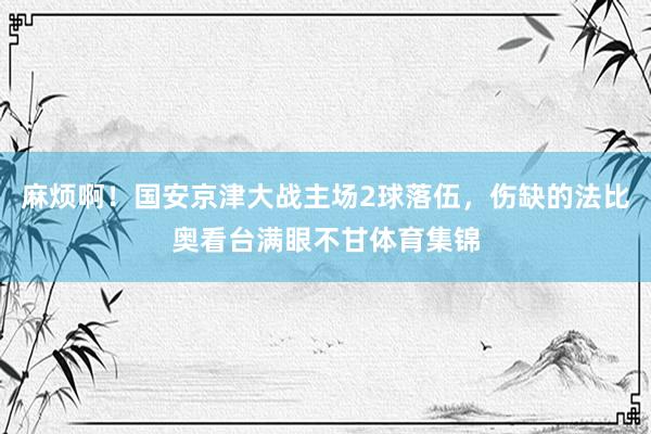 麻烦啊！国安京津大战主场2球落伍，伤缺的法比奥看台满眼不甘体育集锦