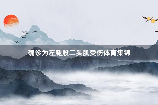 确诊为左腿股二头肌受伤体育集锦