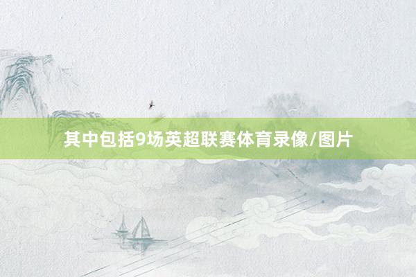其中包括9场英超联赛体育录像/图片
