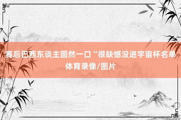 赛后巴西东谈主固然一口“很缺憾没进宇宙杯名单体育录像/图片