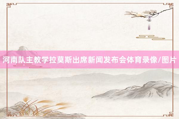 河南队主教学拉莫斯出席新闻发布会体育录像/图片