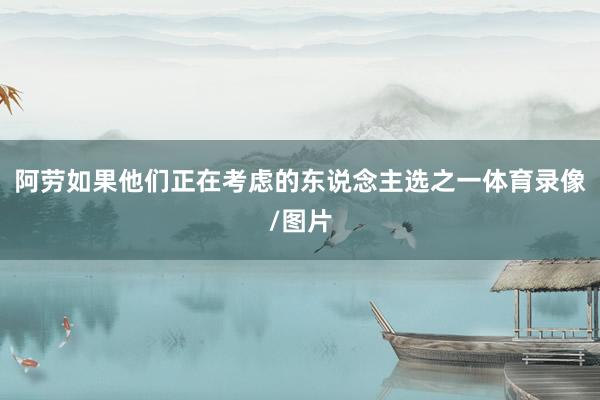 阿劳如果他们正在考虑的东说念主选之一体育录像/图片