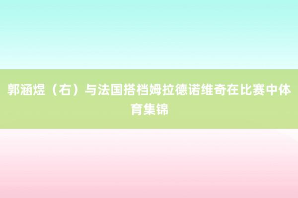 郭涵煜（右）与法国搭档姆拉德诺维奇在比赛中体育集锦