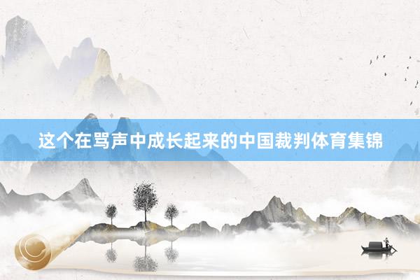这个在骂声中成长起来的中国裁判体育集锦