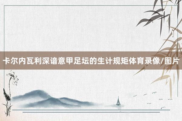卡尔内瓦利深谙意甲足坛的生计规矩体育录像/图片