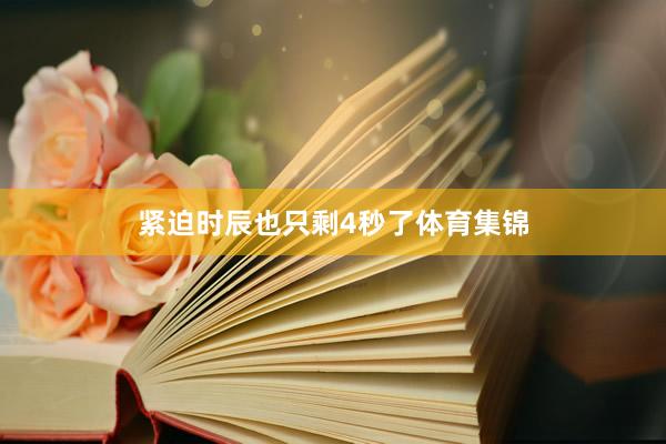 紧迫时辰也只剩4秒了体育集锦